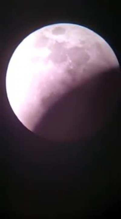 Caught a plane passing the lunar eclipse.