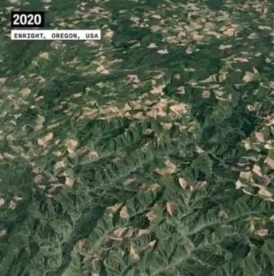 Google Earth captures the stunning transformation of our planet over 3 decades