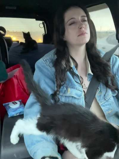 This is a typical day for us 