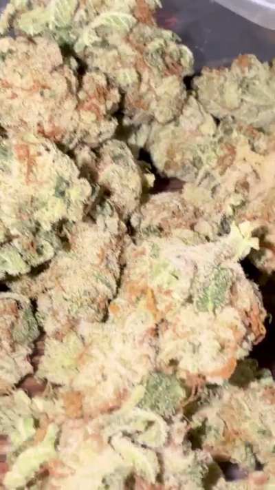 Hjemmedyrket i det sydjyske