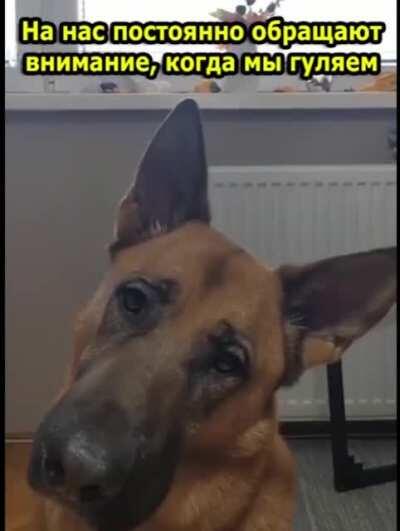 Это было неожиданно