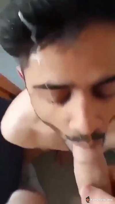 Cute puppy 🐶 get rewards