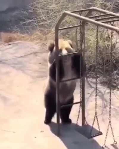 Wonder what song he was listening to w hen the adderall dropped? also, something something cocaine bear