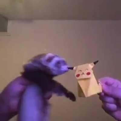 Um vídeo para alegrar-vos