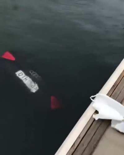 Someone forgot to engage their parking brake