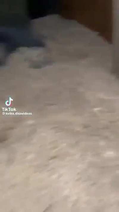 Sorry about my friend heâs just horsing around