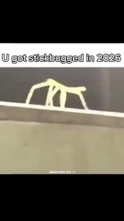 Shit was a wildwest back then