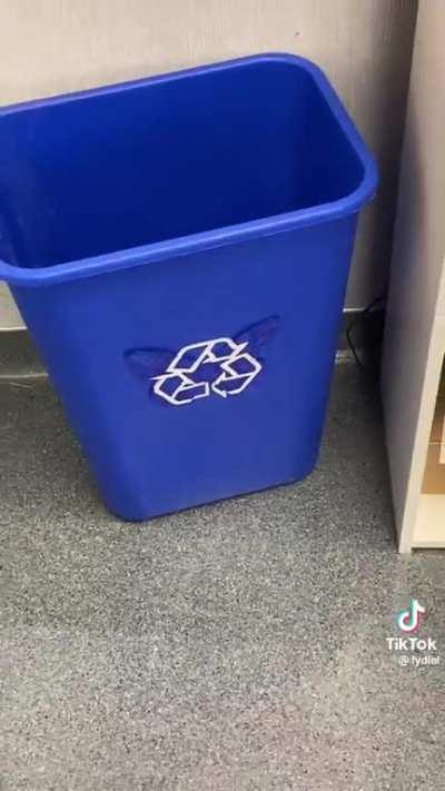 Such a cool activity for kids