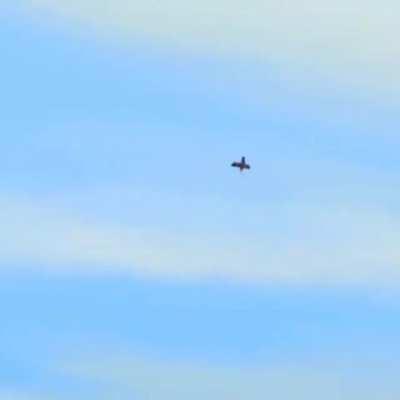 We're not aiming for the truck