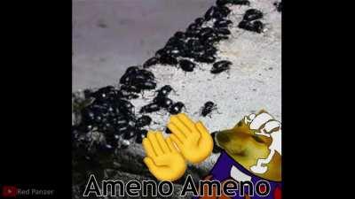 You just got Puccheemed, u must pray 5 times a day for salvation