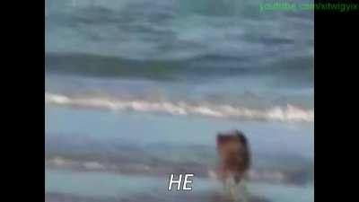 This (G)old is 10 years old now...