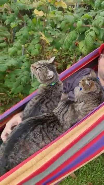 This is my life now...