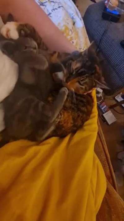 When your little sister annoys the fuck out of you 😒