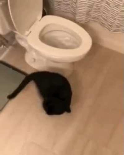 Maelstrom researcher