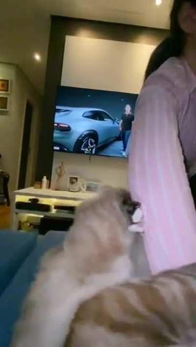 A very well catculated attack