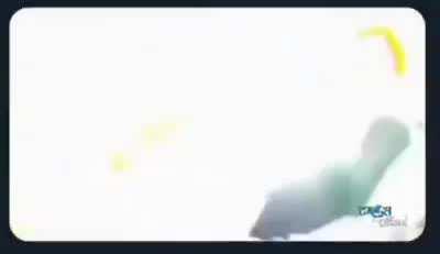 Signing your own death