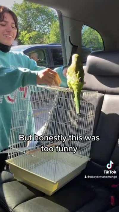 Rescue Quaker laughing at vet visit