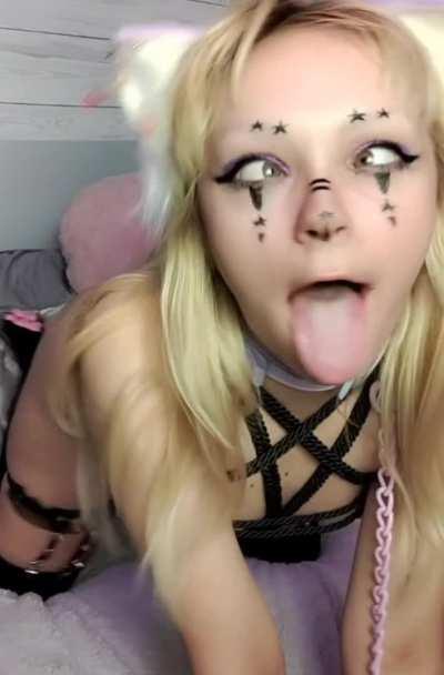 would you punish this naughty kitten?