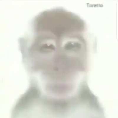 UPVOTE PARA QUE VEA EL MONO