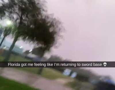 Bro where’s Halsey’s lab I’m not joking