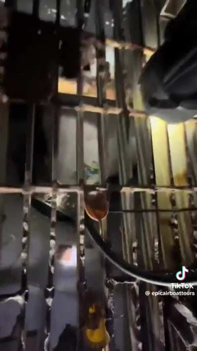 GTA VI easter egg ahh 💀