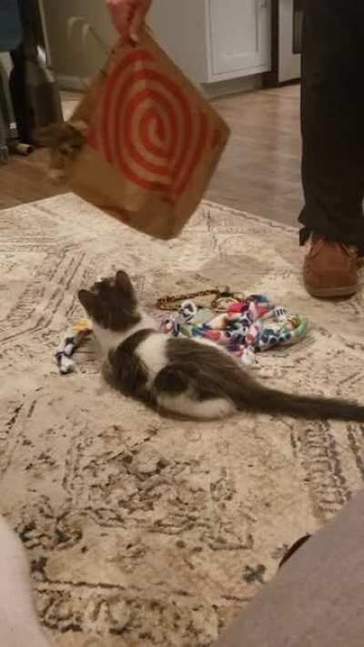 Once again, the man who did not want another pet.