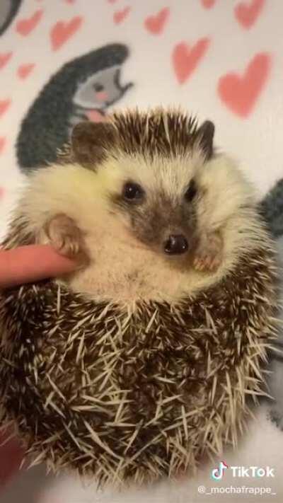 If anyone has a Byakuya togami offline code pls drop it in comments