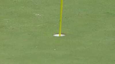 Force - Subtle use 101