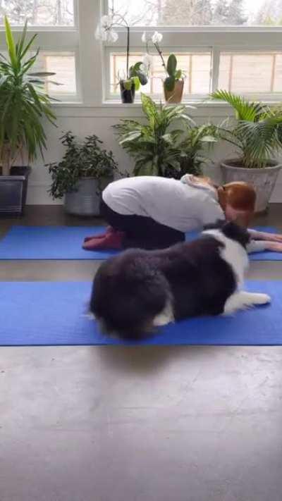 Its always a good day for YOGA!