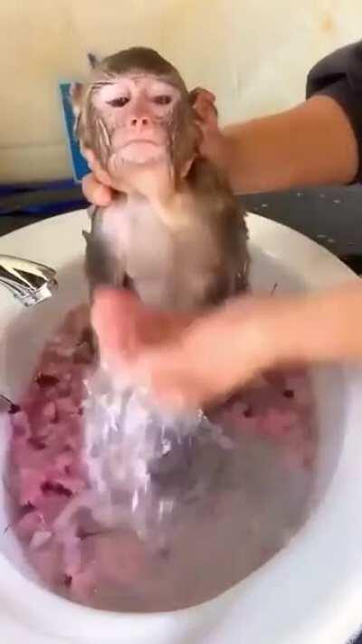 Vídeo da simone furacão dando banho no muquinha