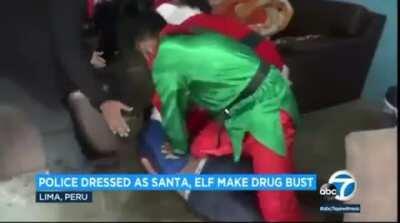 Police in Peru spread Christmas cheer by making drug bust dressed as Santa and an elf