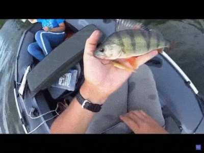 Ipad on raft. Bad idea.