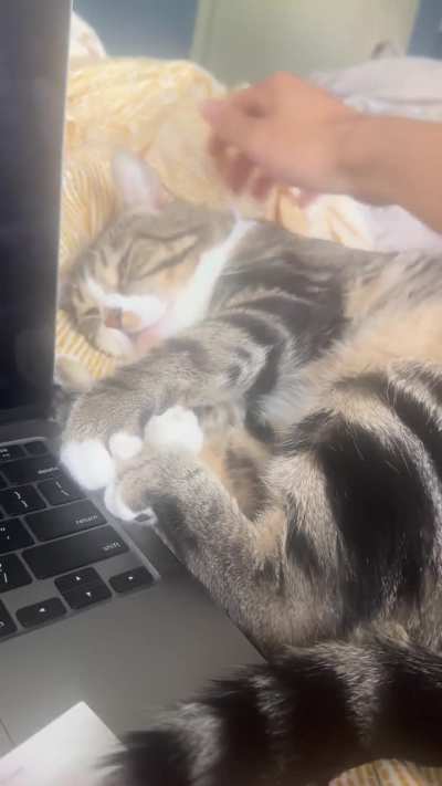 This dude is just too cute not too post more of him 