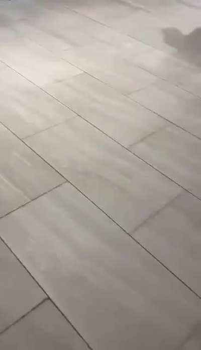 Australia..Blood>RIP