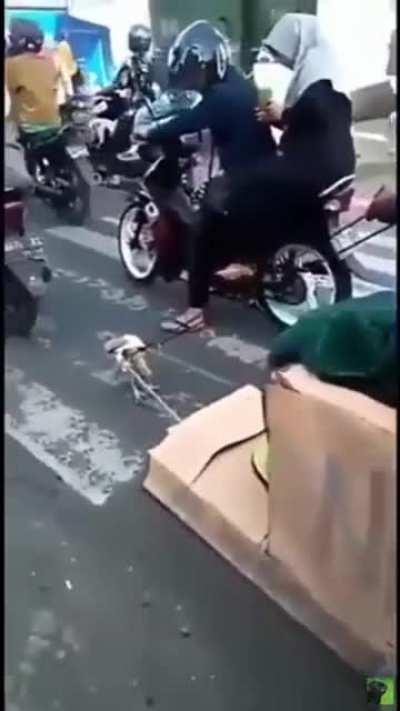 Los lujos del admin 😎