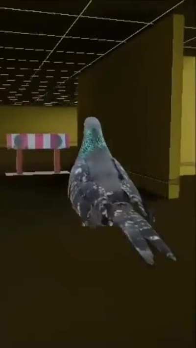 Thanks, I love German Pigeons Committing Tax Evasion