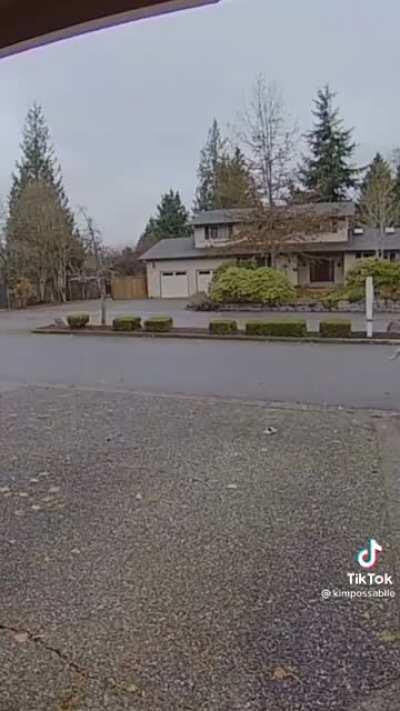 Package thief caught