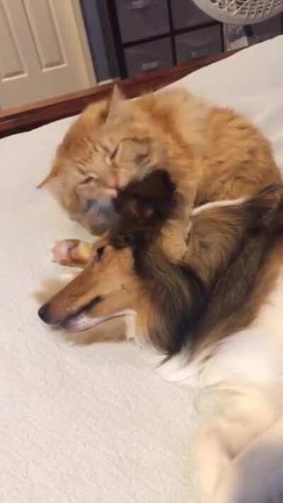 So sweet, so clean ❤️