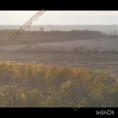 Trees and fields covered in fiber optic cables.