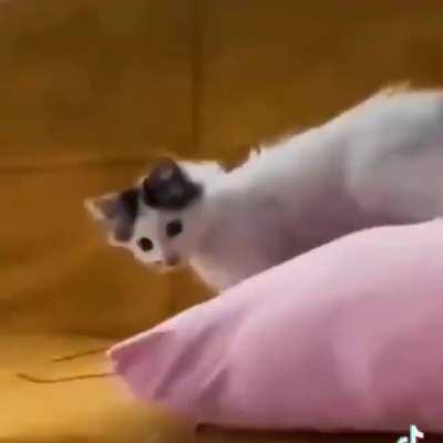 where that come from???