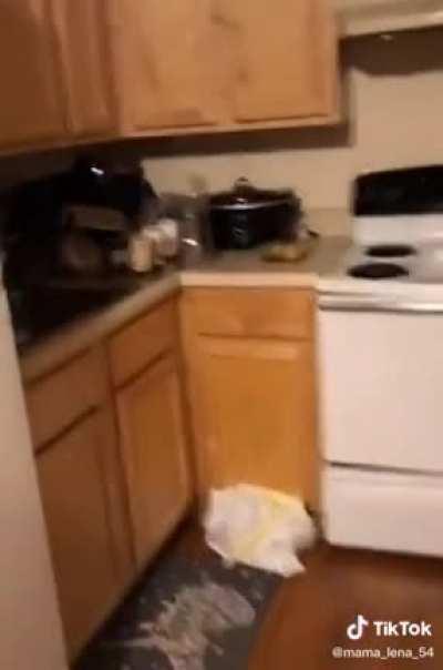 Lena Bull’s house is CLEAN ya’ll.