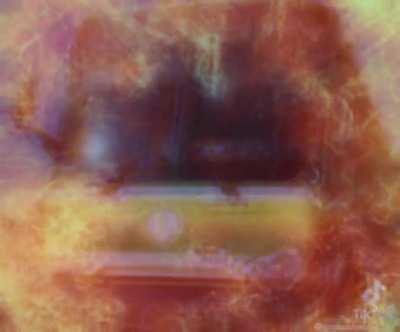 BUHHS‼️‼️🦅😂🚢🚢🗣️🗣️🗣️🗣️🛥️🚢🚢😊😊❤️❤️