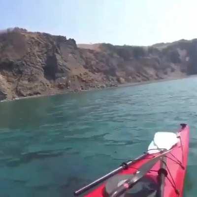 Go canoeing in the ocean it will be fun they said