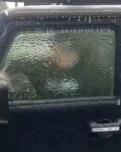 She forgot to roll down the window