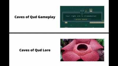 This game's lore is something else