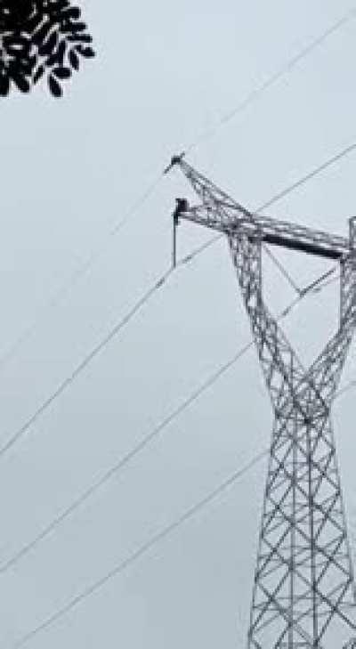 WCGW climbing a transmission tower