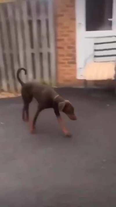 I'll leave this riiiiight here