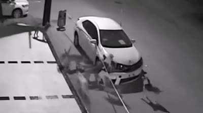 Perros Gangster endémicos del estado de México. No se sabe si son originarios de NezaYork o Ecatepunk