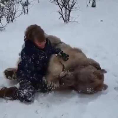 Big bear scritches