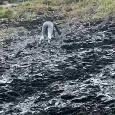 Emma sliding backwards down a hill (from Instagram)